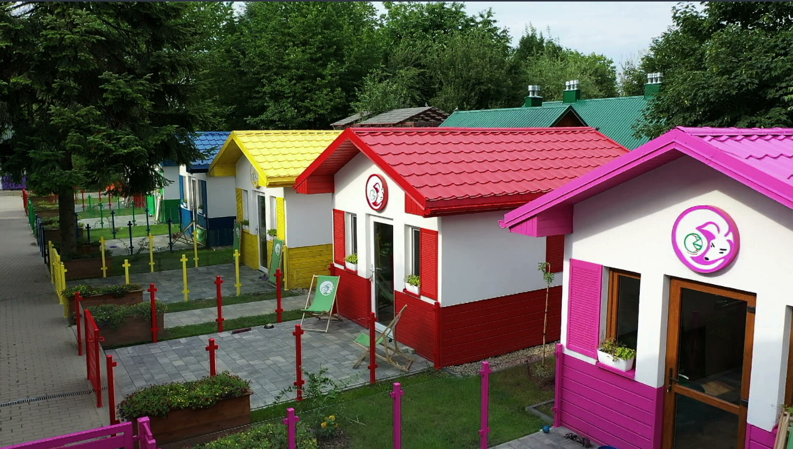 Kampania z Fundacją ADA