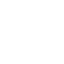 Grafika przezroczystego punktu