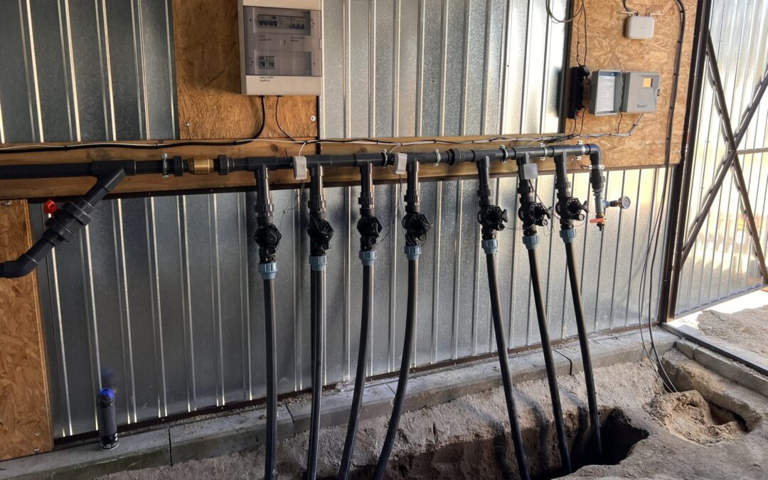 System nawadniania kroplowego plantacji paulowni Green Lungs – rozdzielacz z zaworami sekcyjnymi, sterownik nawadniania i instalacja hydrauliczna w studni technicznej.