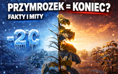 Wpływ wiosennych przymrozków na wzrost drzew tlenowych – fakty i mity