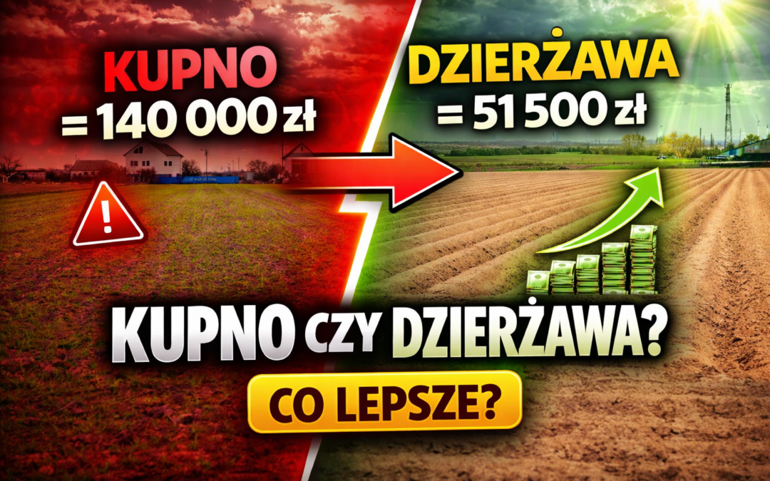 Kupno czy dzierżawa ziemi pod plantację paulowni – co bardziej się opłaca?