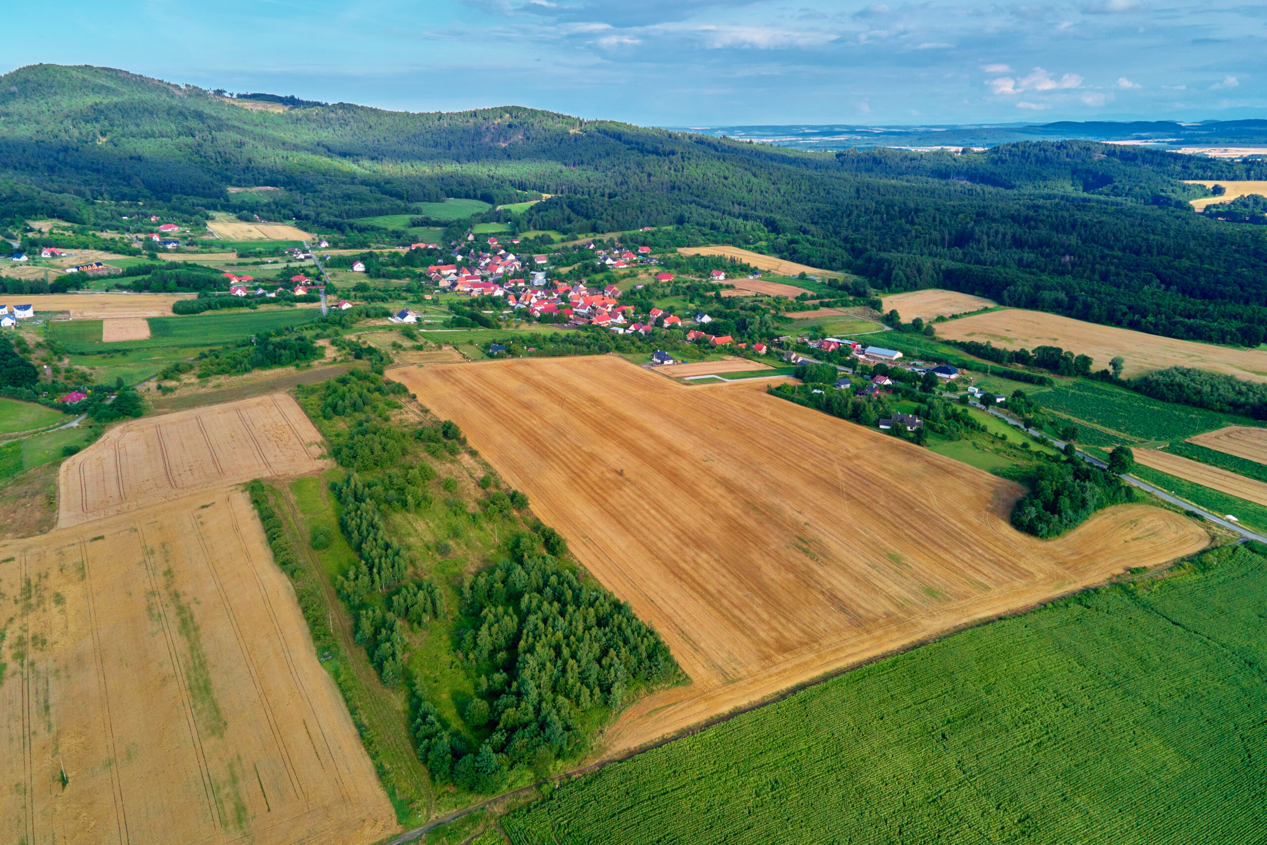grunty rolne w Polsce pod plantację paulowni widok z drona