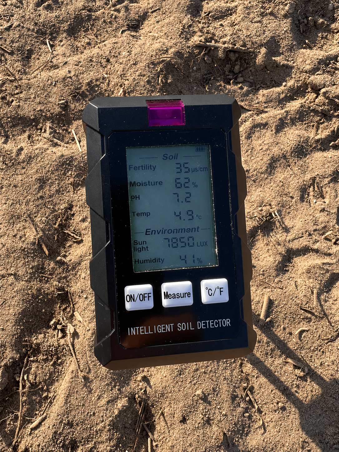 Pomiar pH gleby 7,2 na plantacji paulowni Shan Tong – przygotowanie gruntu pod inwestycję