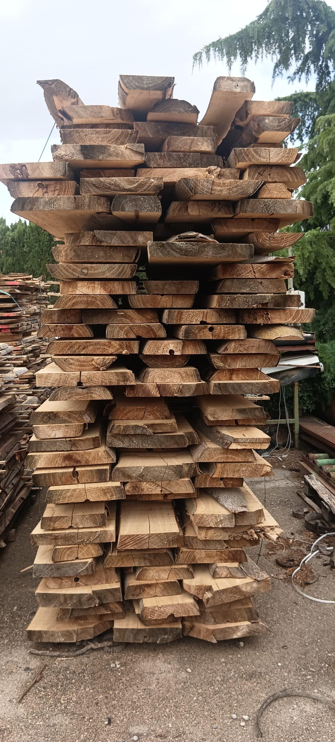 drewno paulowni deski – przygotowany materiał do sprzedaży