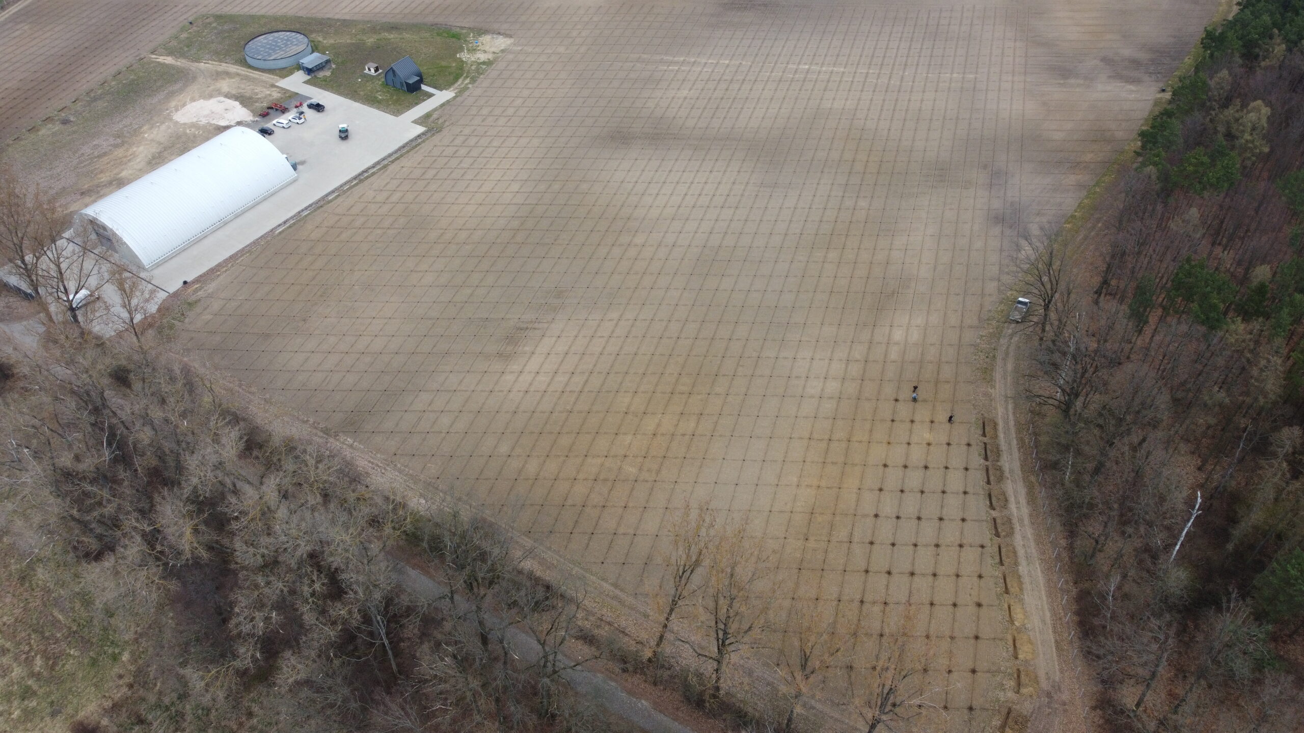 Widok z drona przygotowanego terenu pod plantację paulowni – wyrównane pole po likwidacji starej plantacji