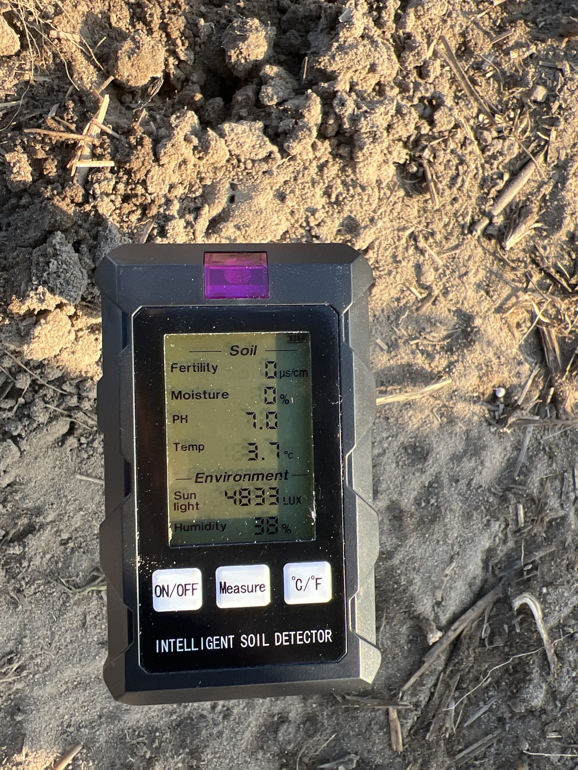 Pomiar pH gleby na plantacji paulowni Shan Tong w Raszkowie – wynik 7,0 idealny pod inwestycję