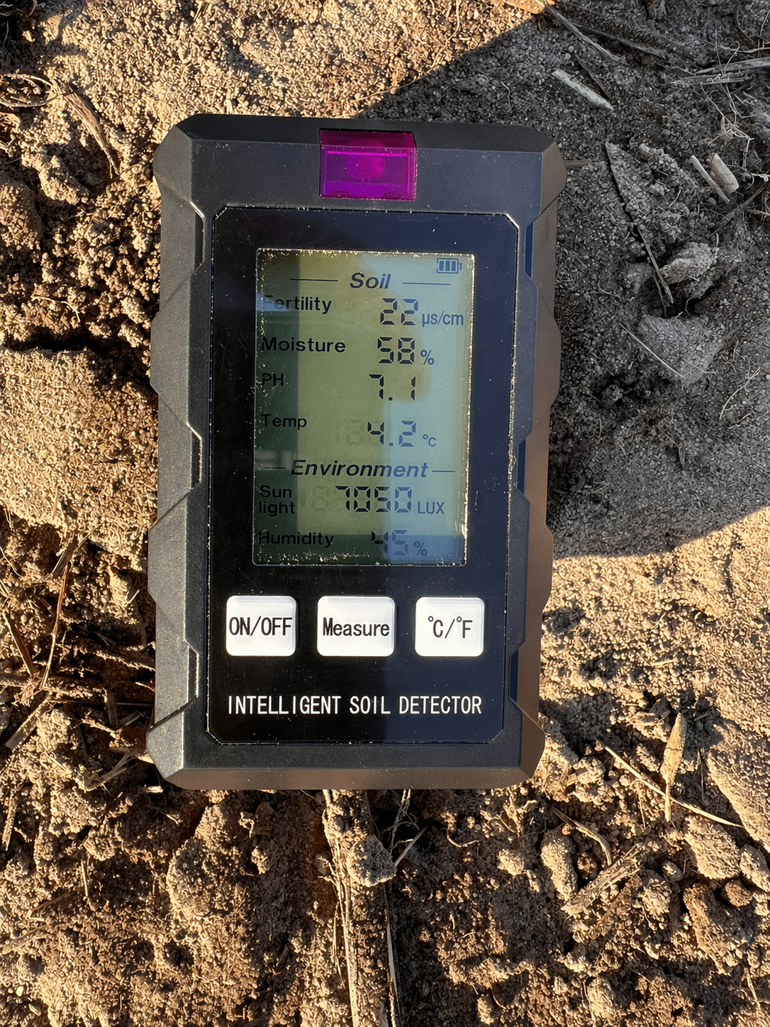 Pomiar pH gleby na plantacji paulowni Shan Tong – wynik 7,1 w Raszkowie