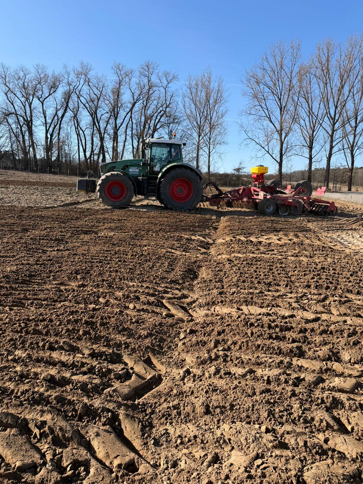 Uprawa gleby pod plantację paulowni – przygotowanie pola przed sadzeniem